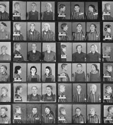 Wilhelm Brasse, il fotografo di Auschwitz che salv&ograve; decine di migliaia di immagini