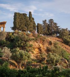 Agrigento, il Giardino della Kolymbethra sar&agrave; gestito per altri 25 anni dal FAI