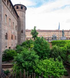 Jardines y parques de Turín: un recorrido por la botánica del Palacio Madama y otros jardines