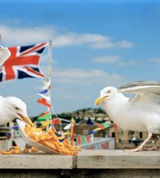 In arrivo al cinema il documentario sul fotografo contemporaneo Martin Parr