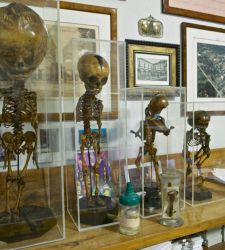 Historias de enfermedad y curación en el Museo di Anatomia Patologica e Paleopatologica di Pisa