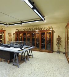 Das Museum für menschliche Anatomie in Pisa, eine Reise durch den menschlichen Körper zwischen Mumien und einbalsamierten Köpfen